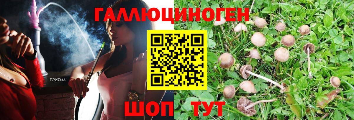 Галлюциногенные грибы MAGIC MUSHROOMS  Псилоцибиновые грибы ЛСД  Вход с VPN  Боровичи 