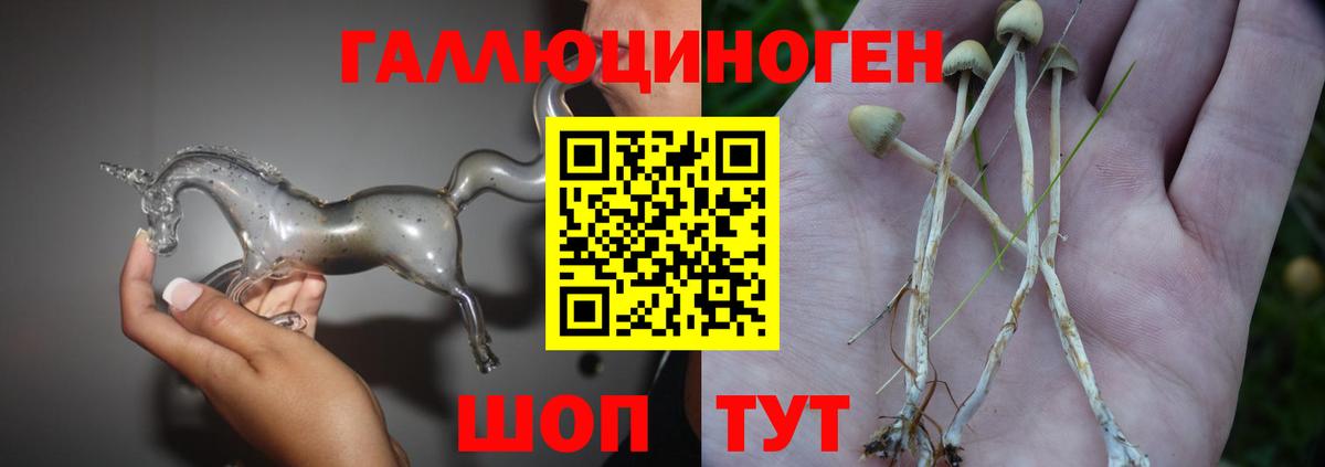 Псилоцибиновые грибы прущие грибы Боровичи